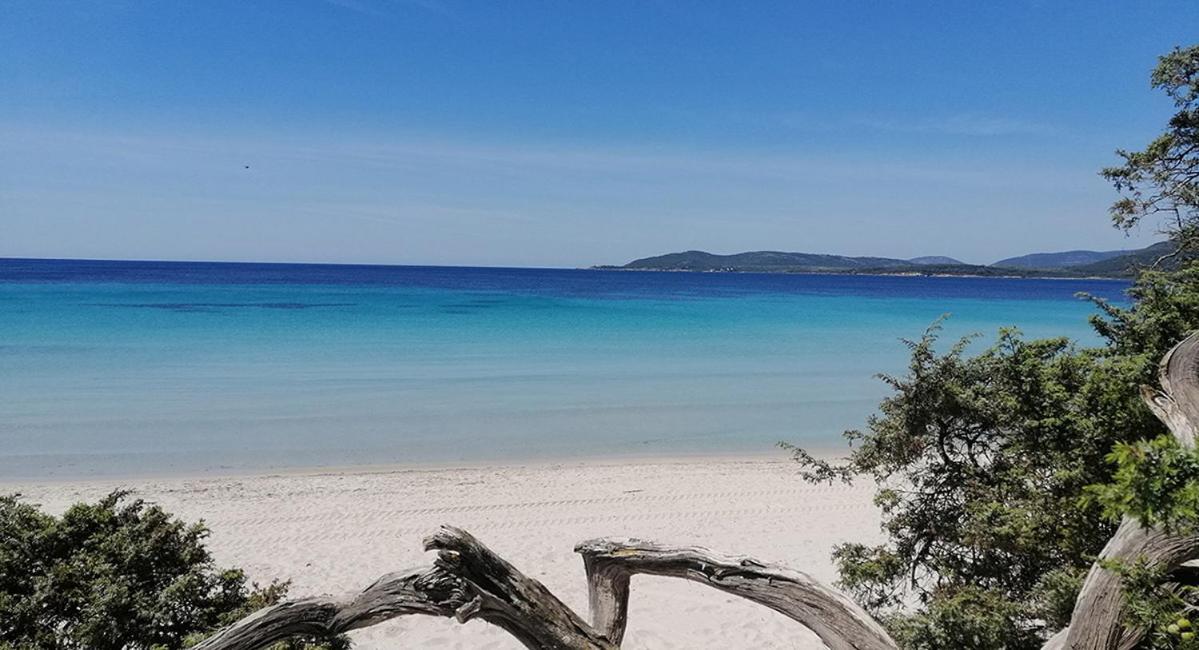 Lu Bobo Villa Alghero Eksteriør billede